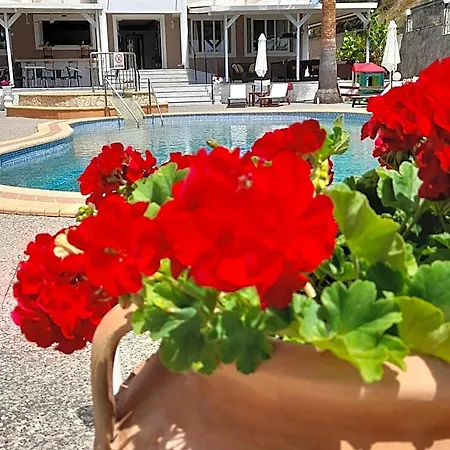 Armonia By Zante Plaza Bed & Breakfast 2*