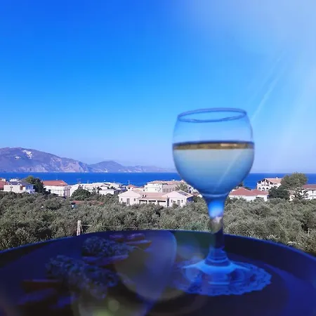 Couette-café Armonia By Zante Plaza 2*