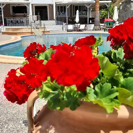 Armonia By Zante Plaza 2* Laganas