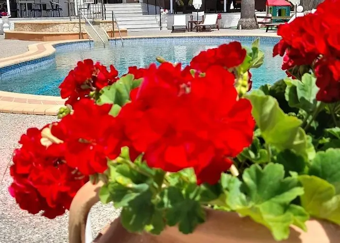 Armonia By Zante Plaza 2* Laganas