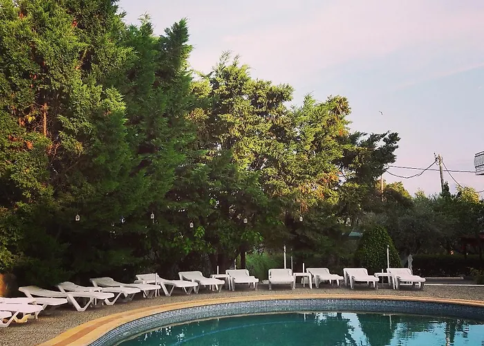 Armonia By Zante Plaza Bed & Breakfast Laganas